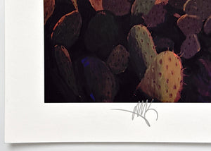 Sonoran Magnetism Print Mark Maggiori